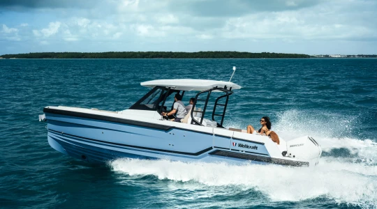 Wellcraft 28 T-Top